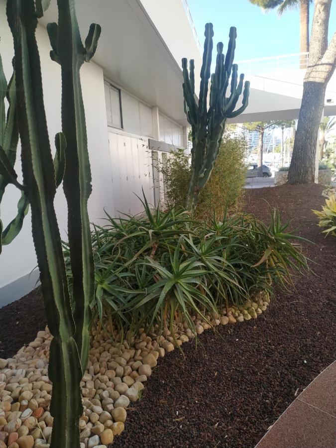 Studio Rez De Jardin Marina Baie Des Anges Вилньов Любе Екстериор снимка